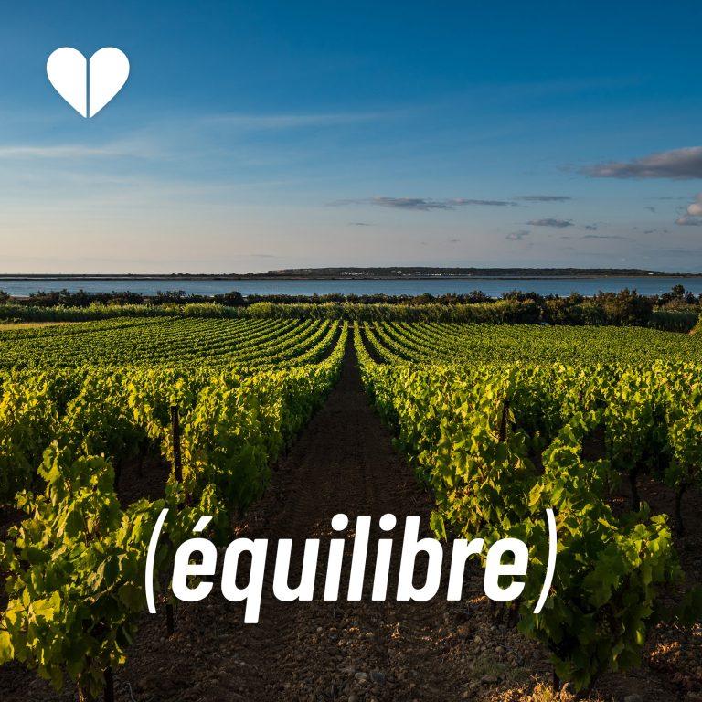 Lire la suite à propos de l’article Équilibre