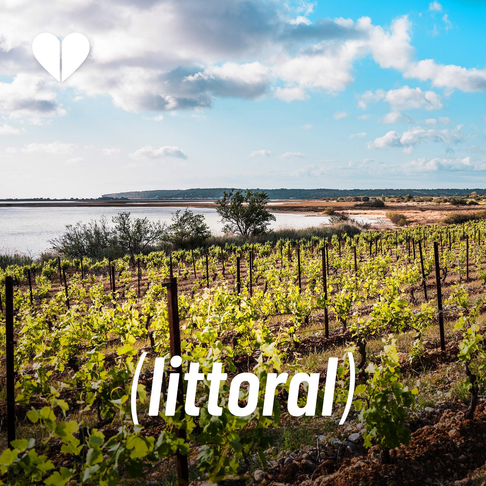 Lire la suite à propos de l’article Littoral