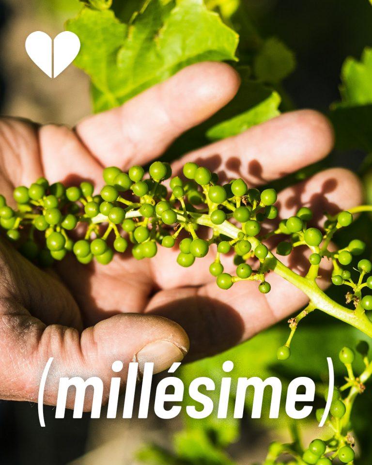 Lire la suite à propos de l’article Millésime