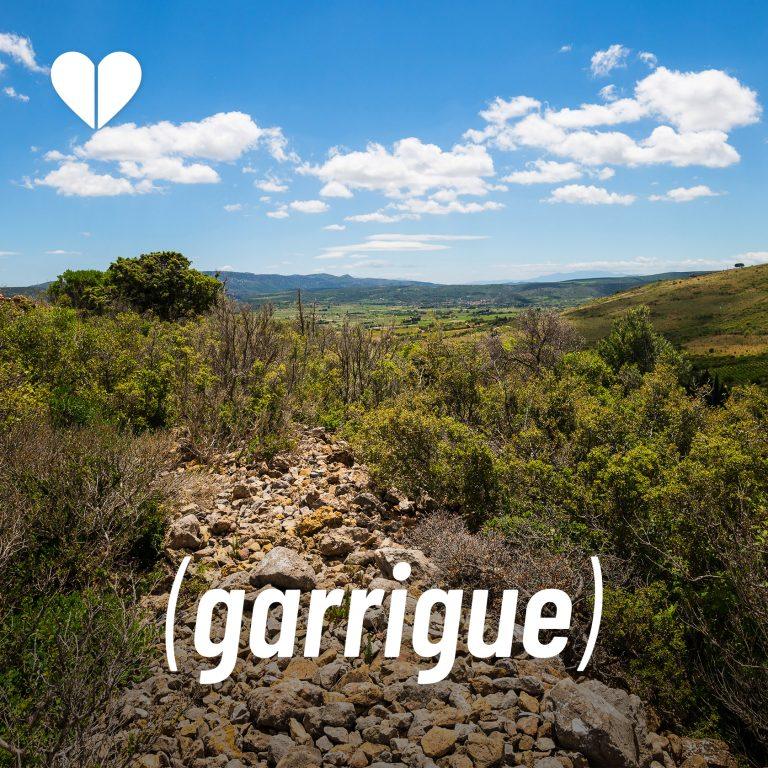 Lire la suite à propos de l’article Garrigue