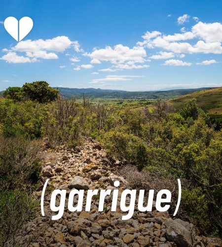 GARRIGUE