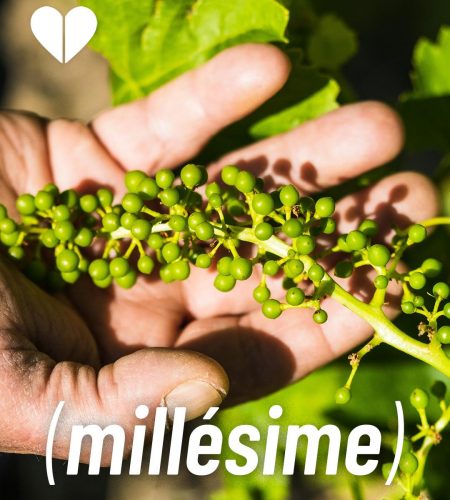 MILLESIME-OK MILLESIME-OK